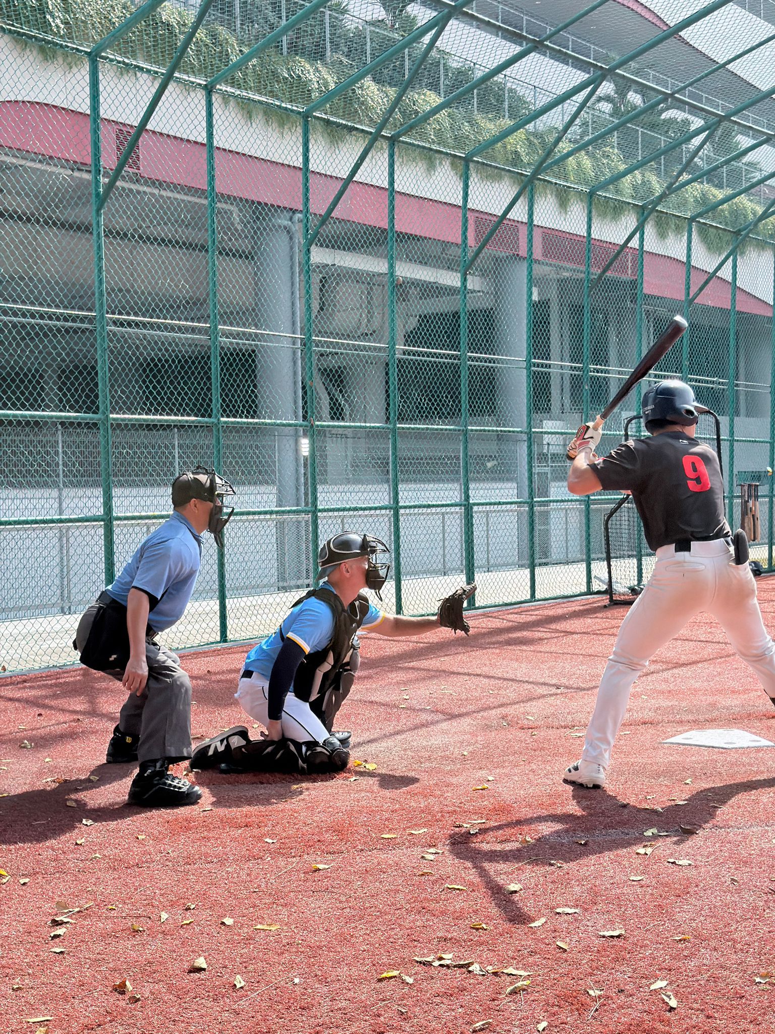 CB behind the dish